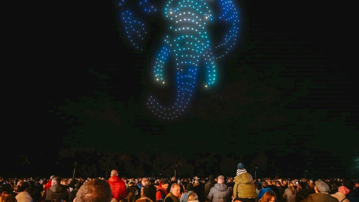 Space Safari Drone Light Show content-04.jpg