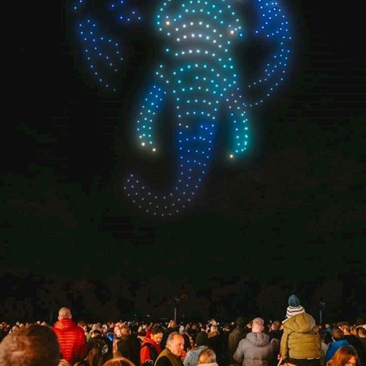 Space Safari Drone Light Show content-04.jpg