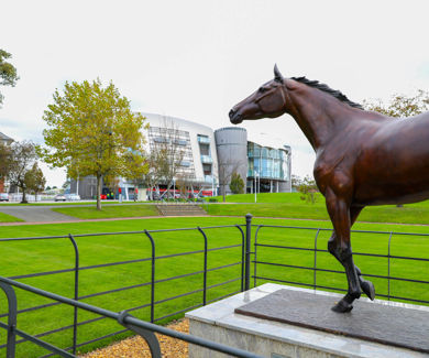 7.Red Rum Garden.jpg